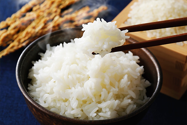 ご飯の写真